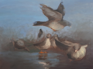 Cleaned City. Birds