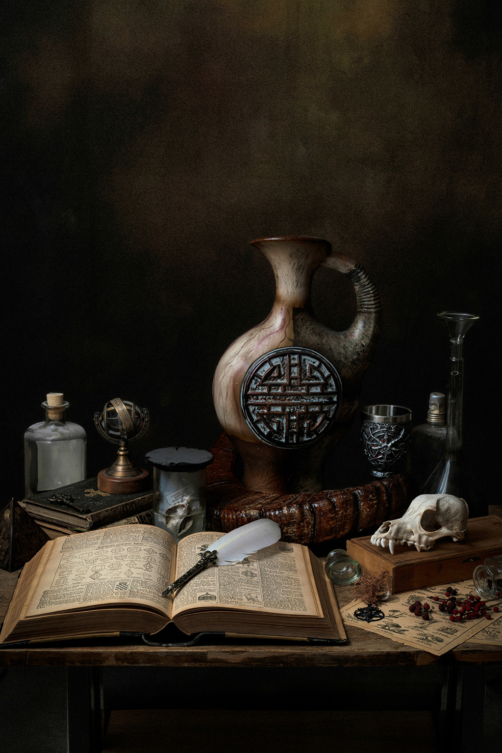 The Cabinet of Curiosities